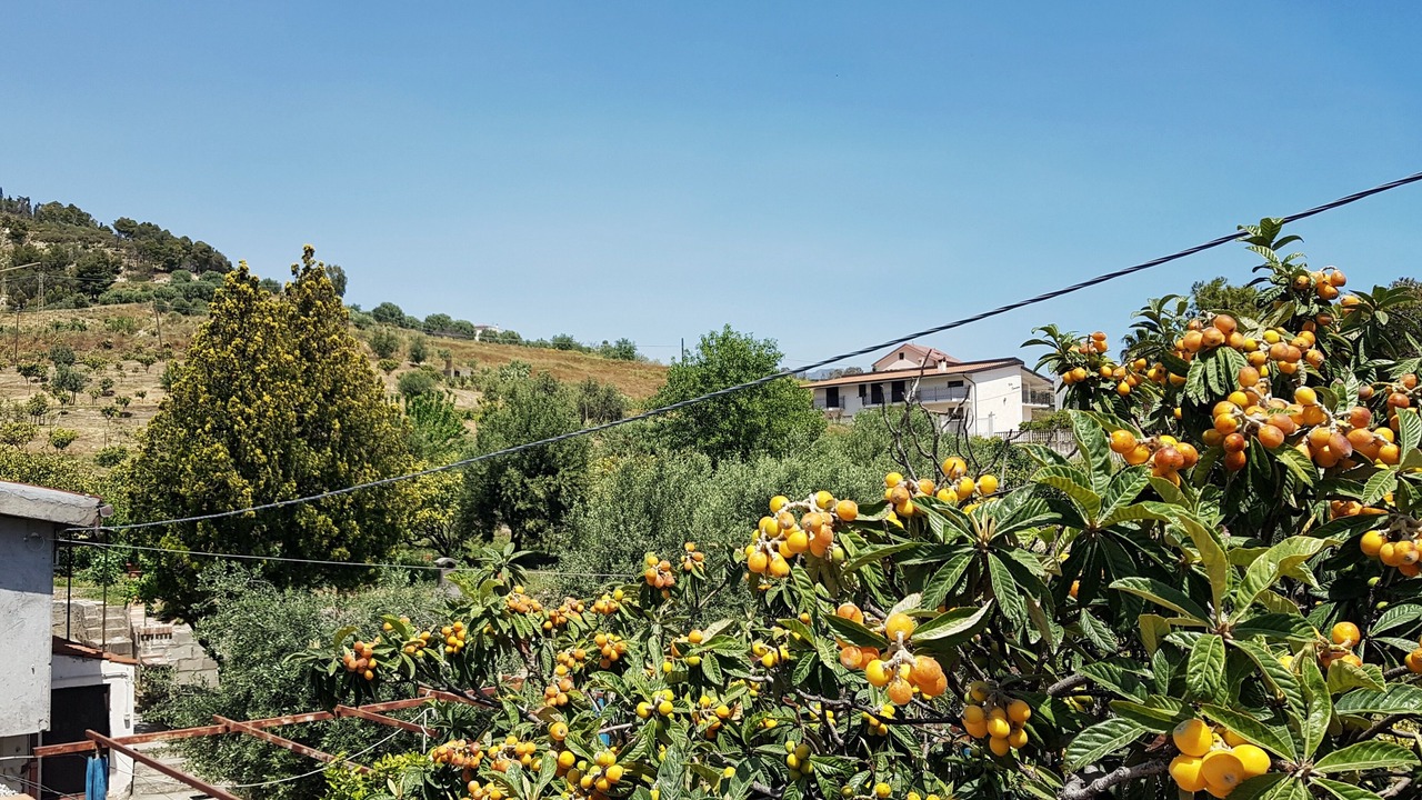 Photo of Outdoor in Condofuri