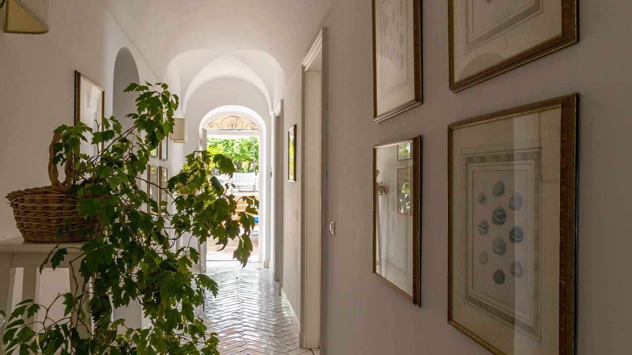 Photo of Others in Capri