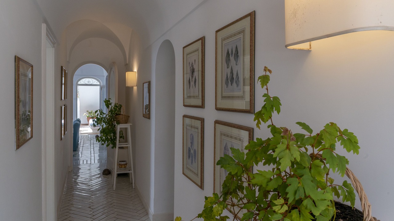 Photo of Others in Capri