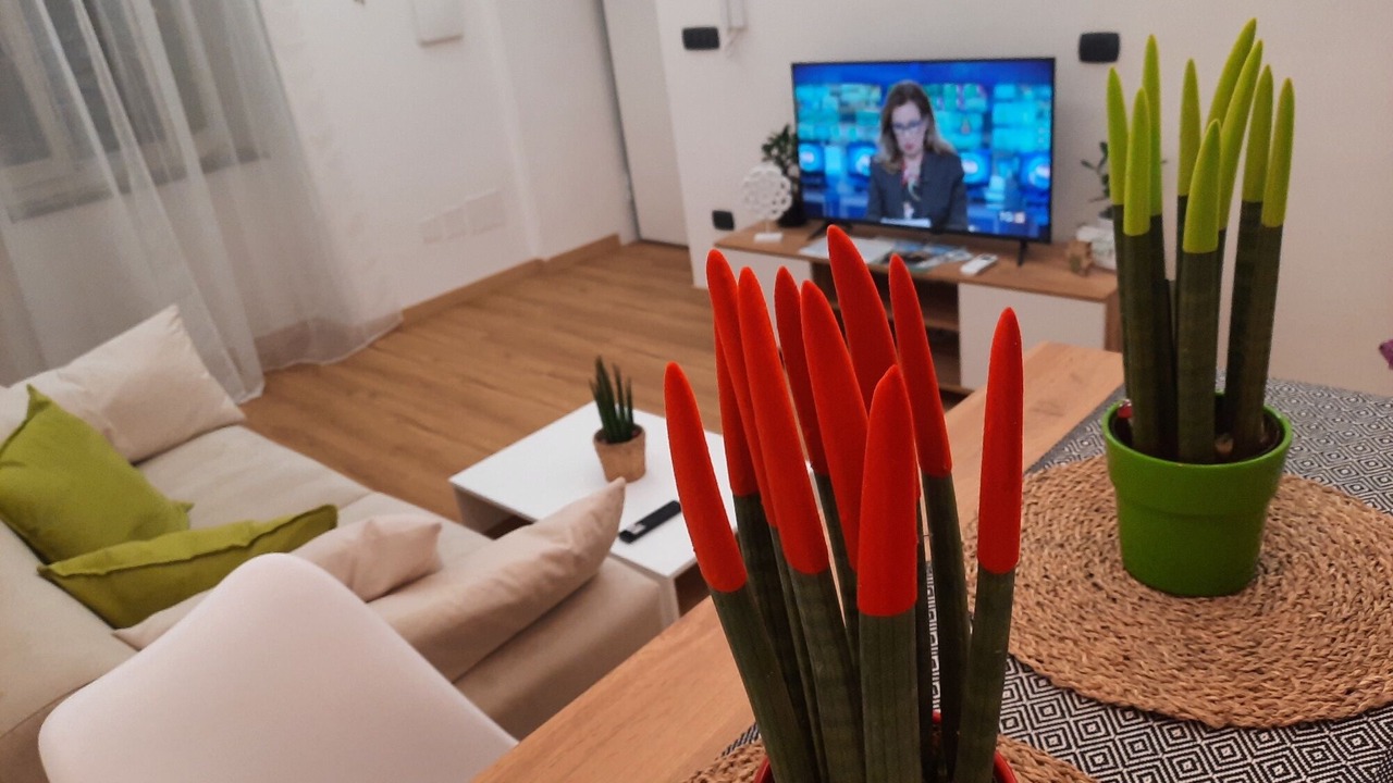 Photo of Livingroom in Pompei