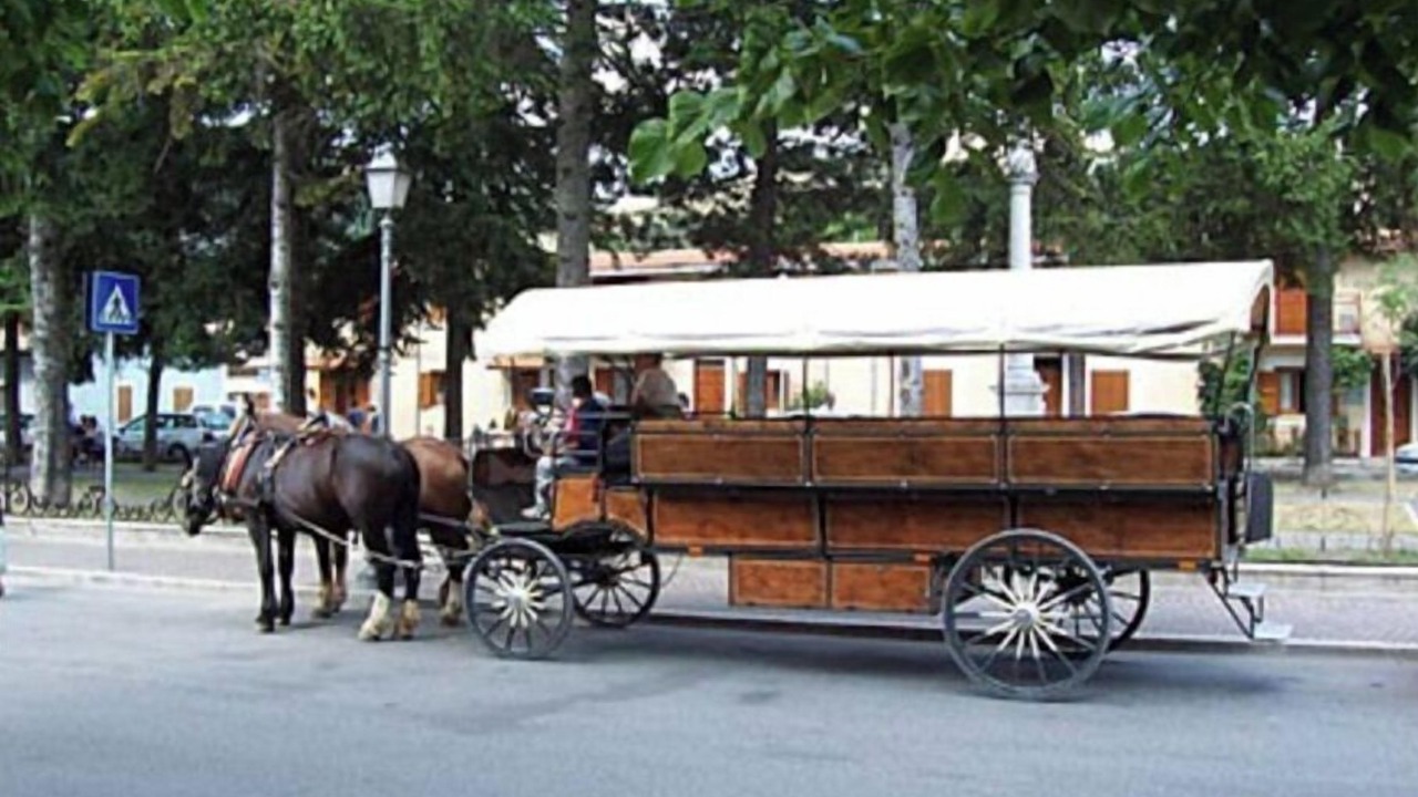 Photo of Others in Pescasseroli