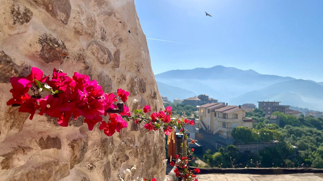 Photo of Outdoor in Norma