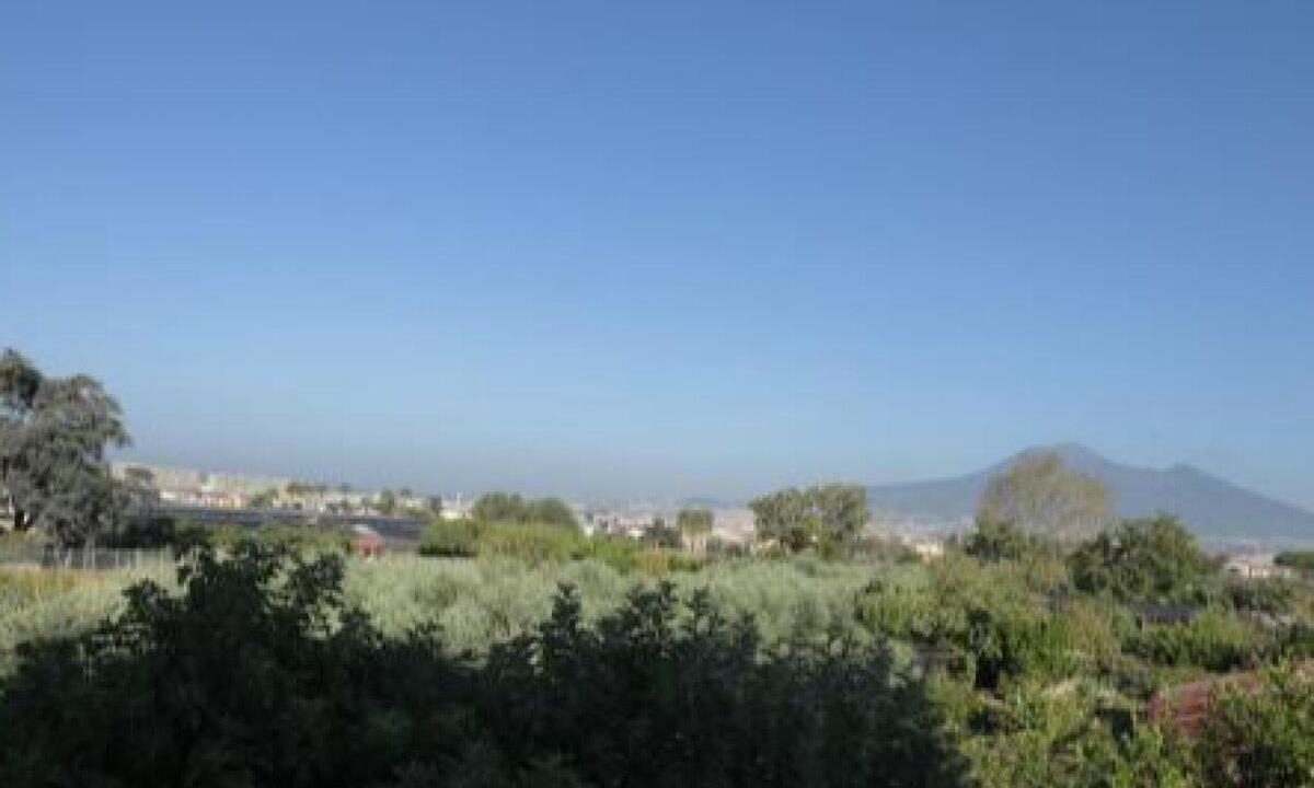 Photo of Others in Santa Maria la Carita