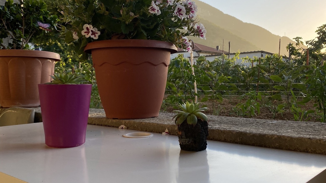 Photo of Outdoor in Piazza-Tralia-Pendolo