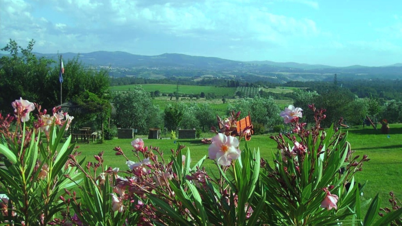 Photo of Outdoor in Castiglion Fibocchi