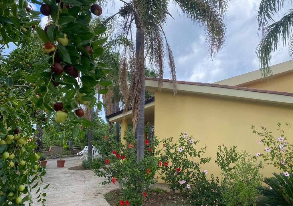 Photo of Outdoor in Ricadi