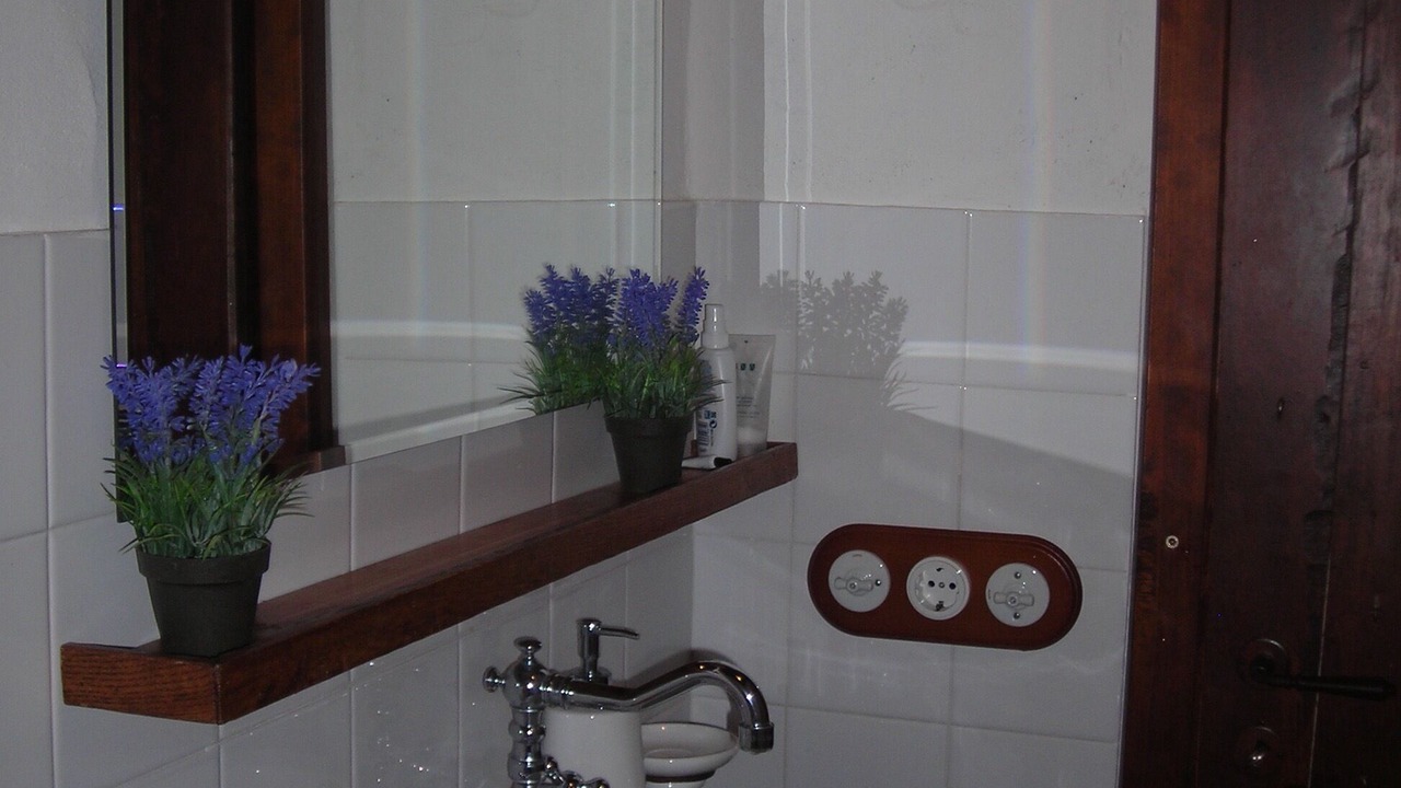 Photo of Bathroom in Radicofani
