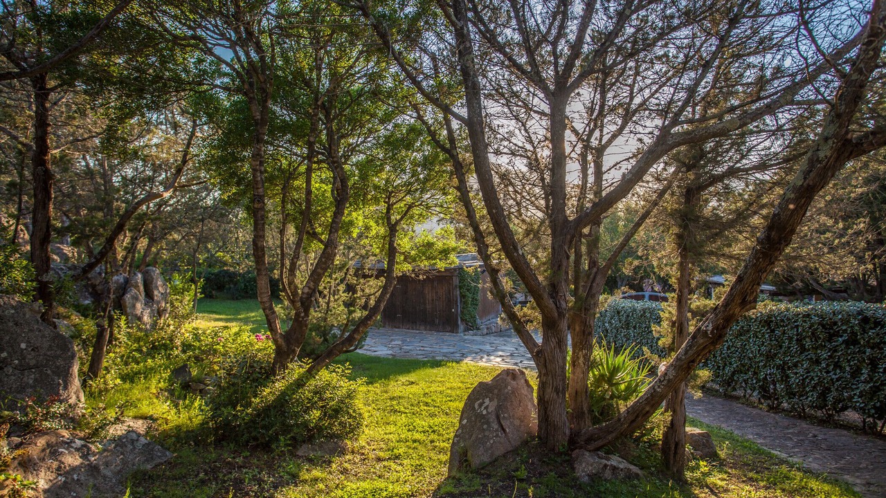 Photo of Outdoor in Porto Rotondo