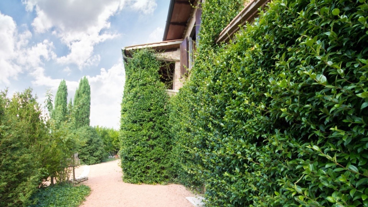 Photo of Outdoor in Chiusi