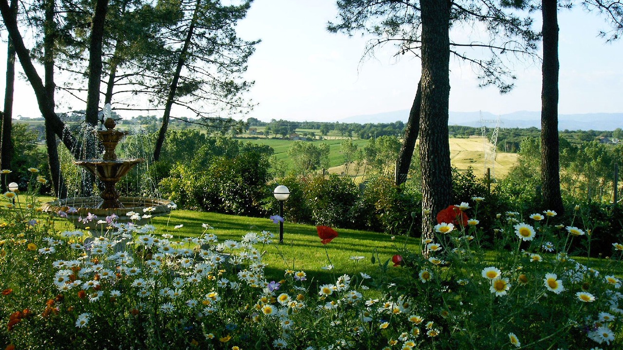 Photo of Outdoor in Castiglione del Lago