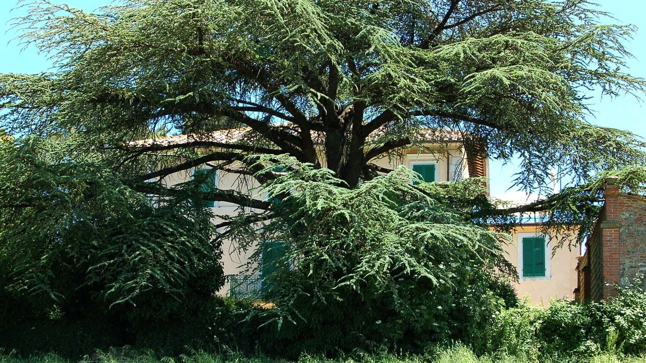 Photo of Outdoor in Ranciano