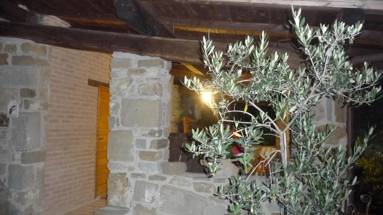 Photo of Outdoor in Pratovecchio