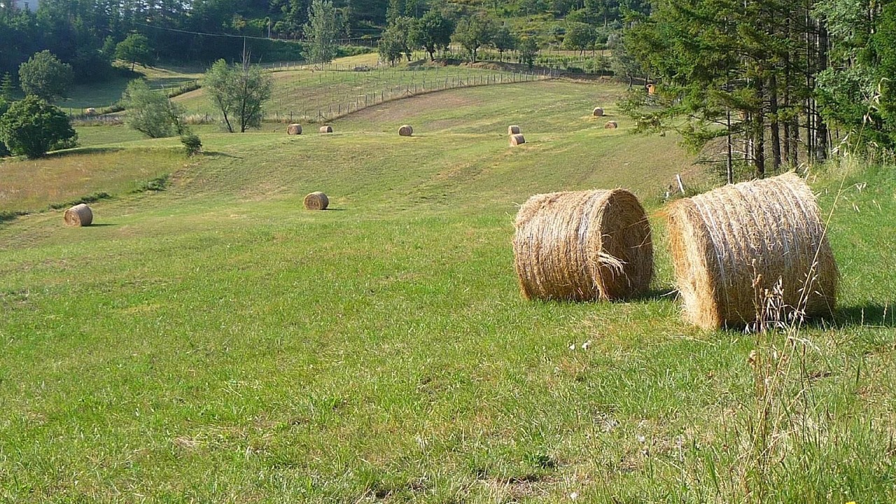 Photo of Outdoor in Pratovecchio