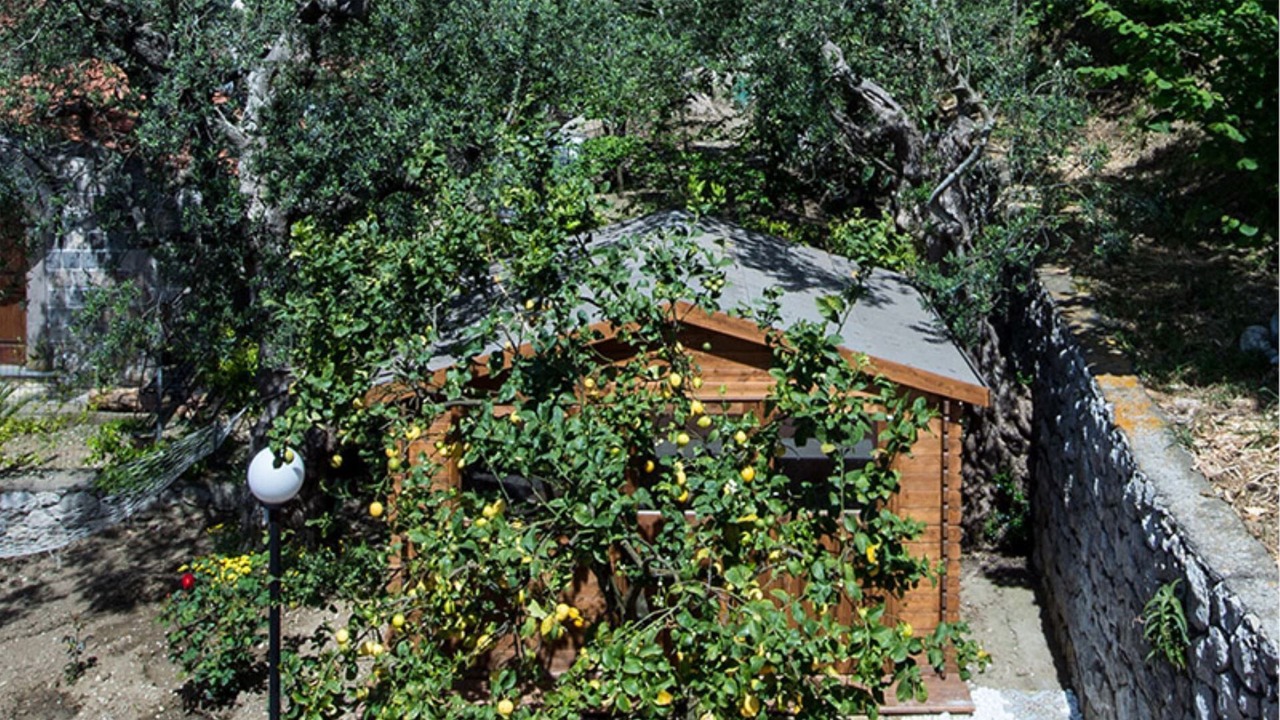 Photo of Outdoor in Schiazzano