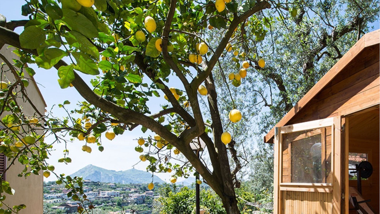 Photo of Outdoor in Schiazzano