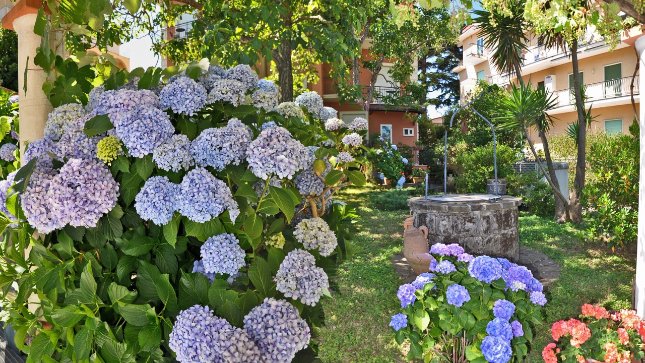 Photo of Outdoor in Sant'Agata sui Due Golfi