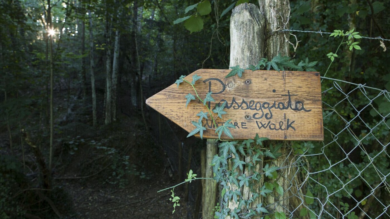 Photo of Outdoor in Poppi