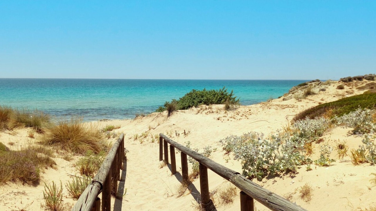 Photo of Outdoor in Torre Ovo