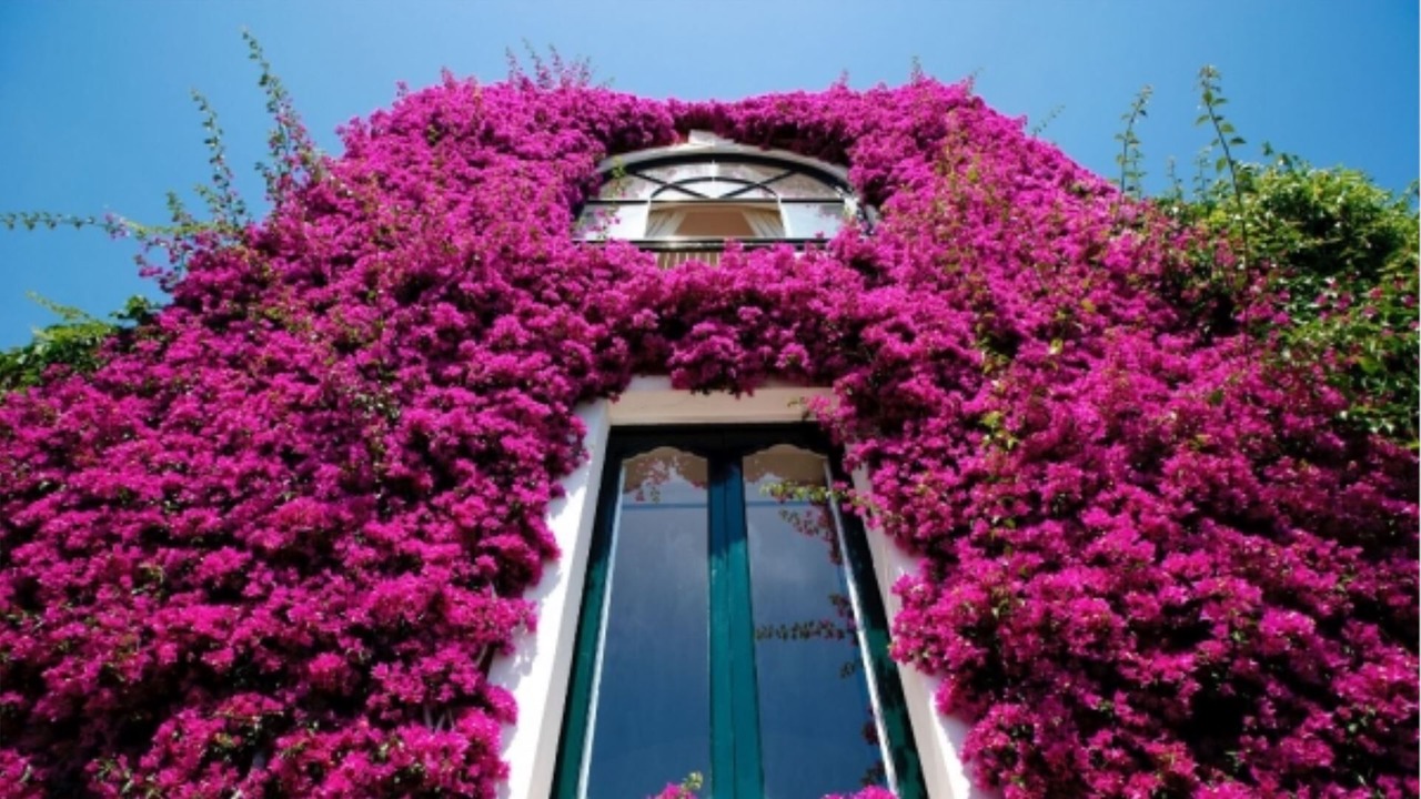 Photo of Outdoor in Positano