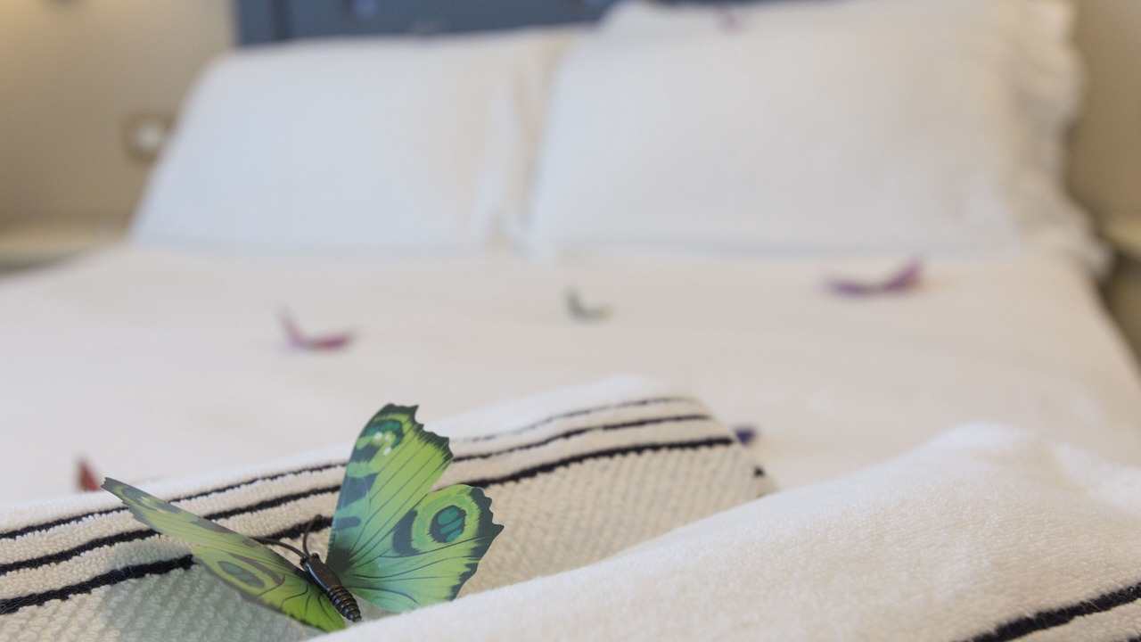 Photo of Bedroom in Miramare
