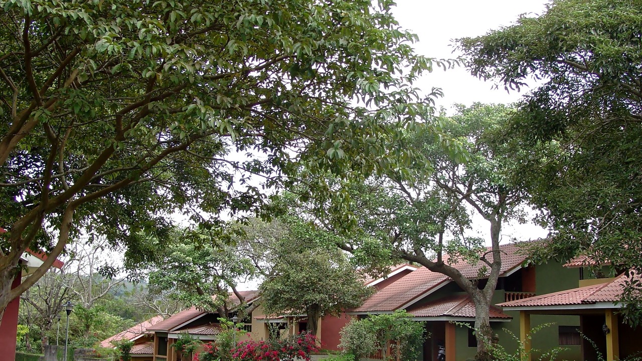 Photo of Outdoor in San Josecito