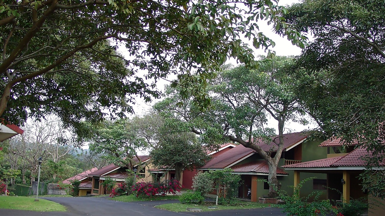 Photo of Outdoor in San Josecito