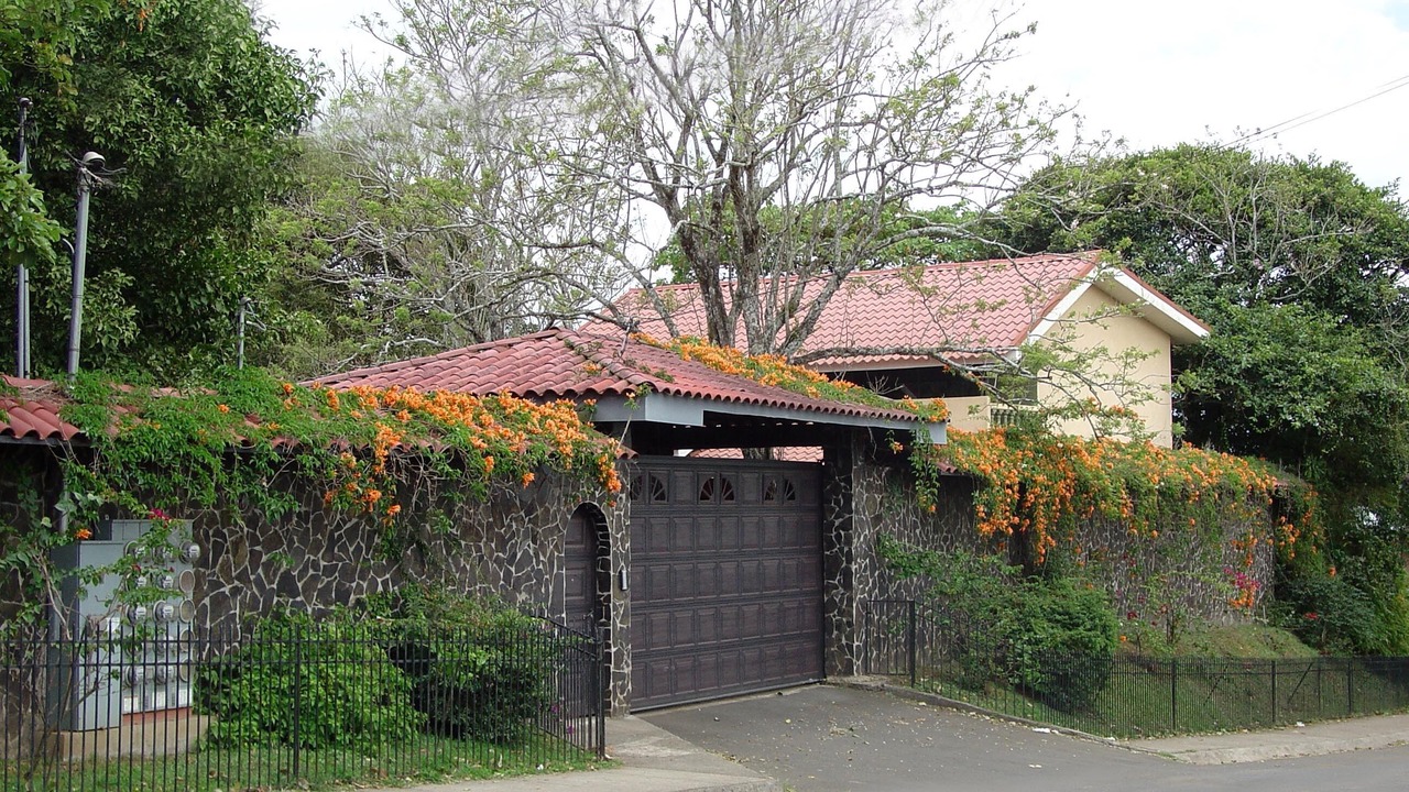 Photo of Outdoor in San Josecito