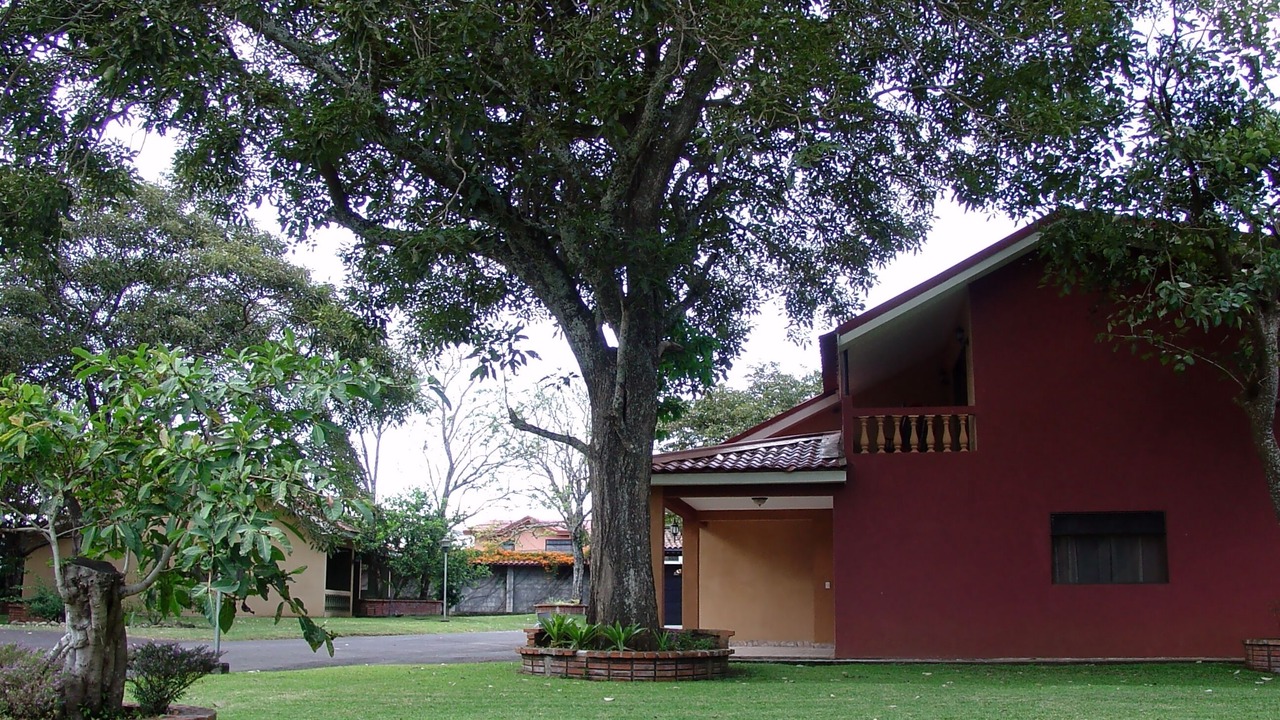 Photo of Outdoor in San Josecito