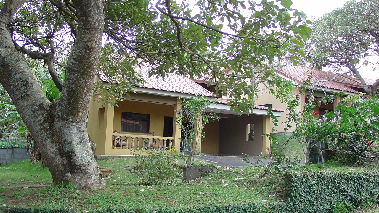 Photo of Outdoor in San Josecito