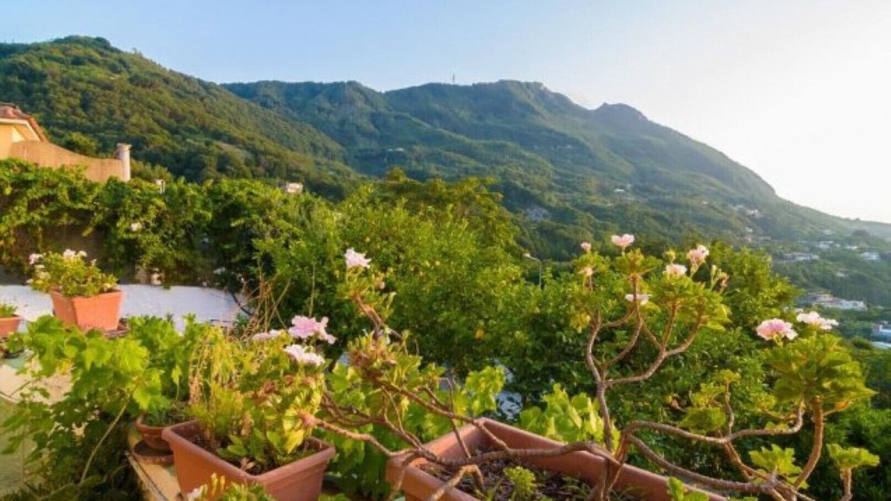 Photo of Outdoor in Casamicciola Terme