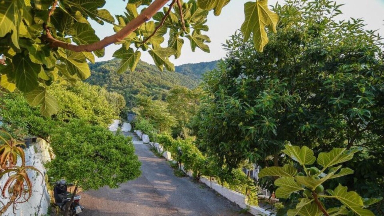Photo of Outdoor in Casamicciola Terme