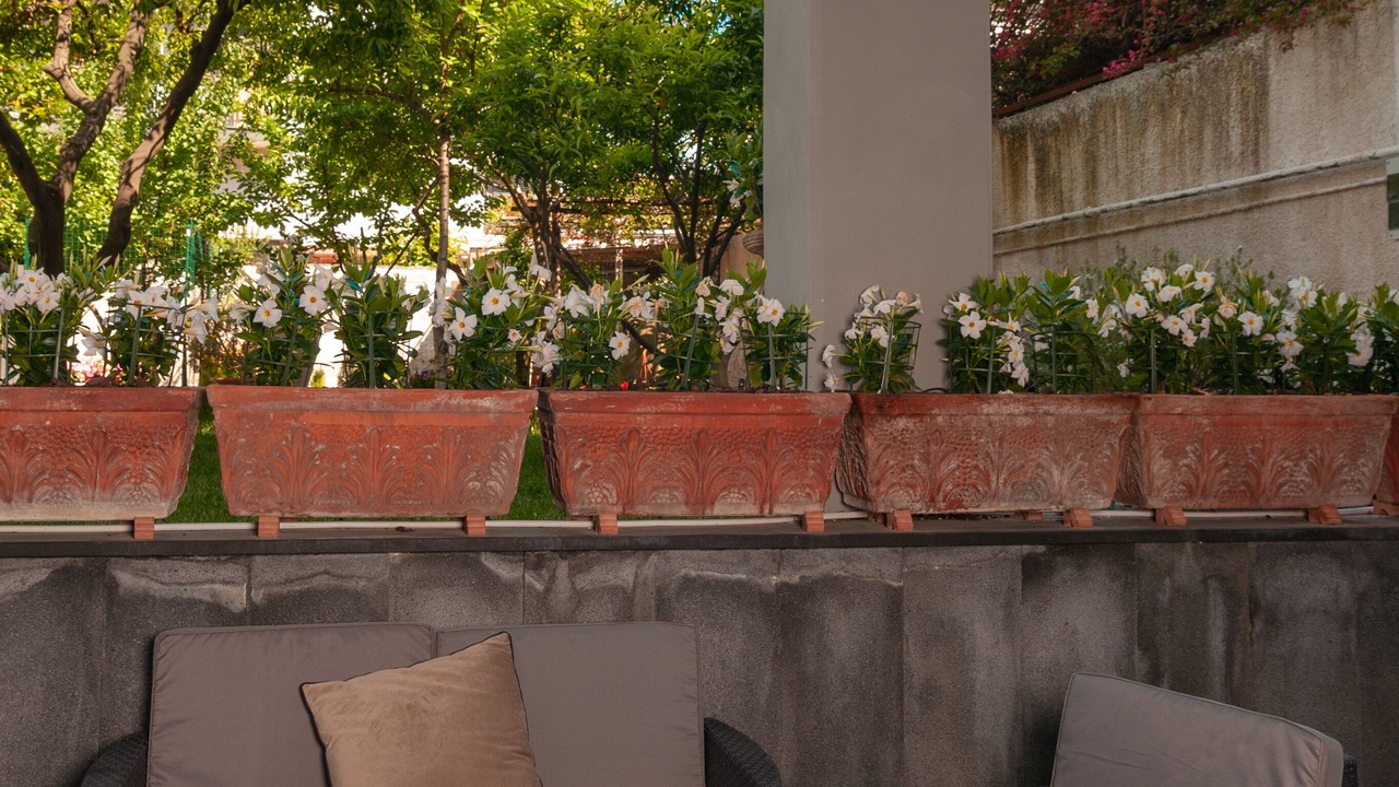 Photo of Patio Balcony in Torre Annunziata