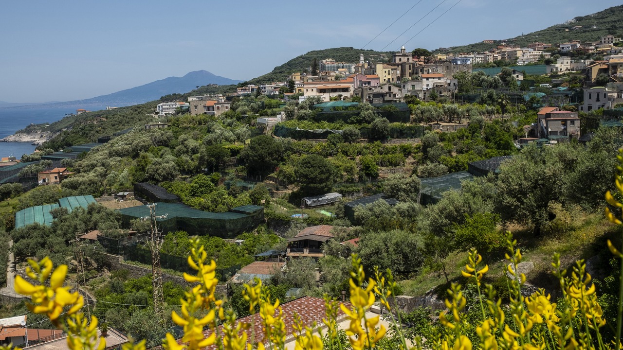 Photo of Outdoor in Schiazzano