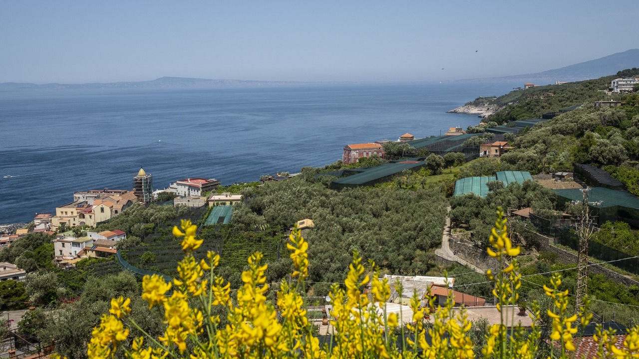 Photo of Outdoor in Schiazzano