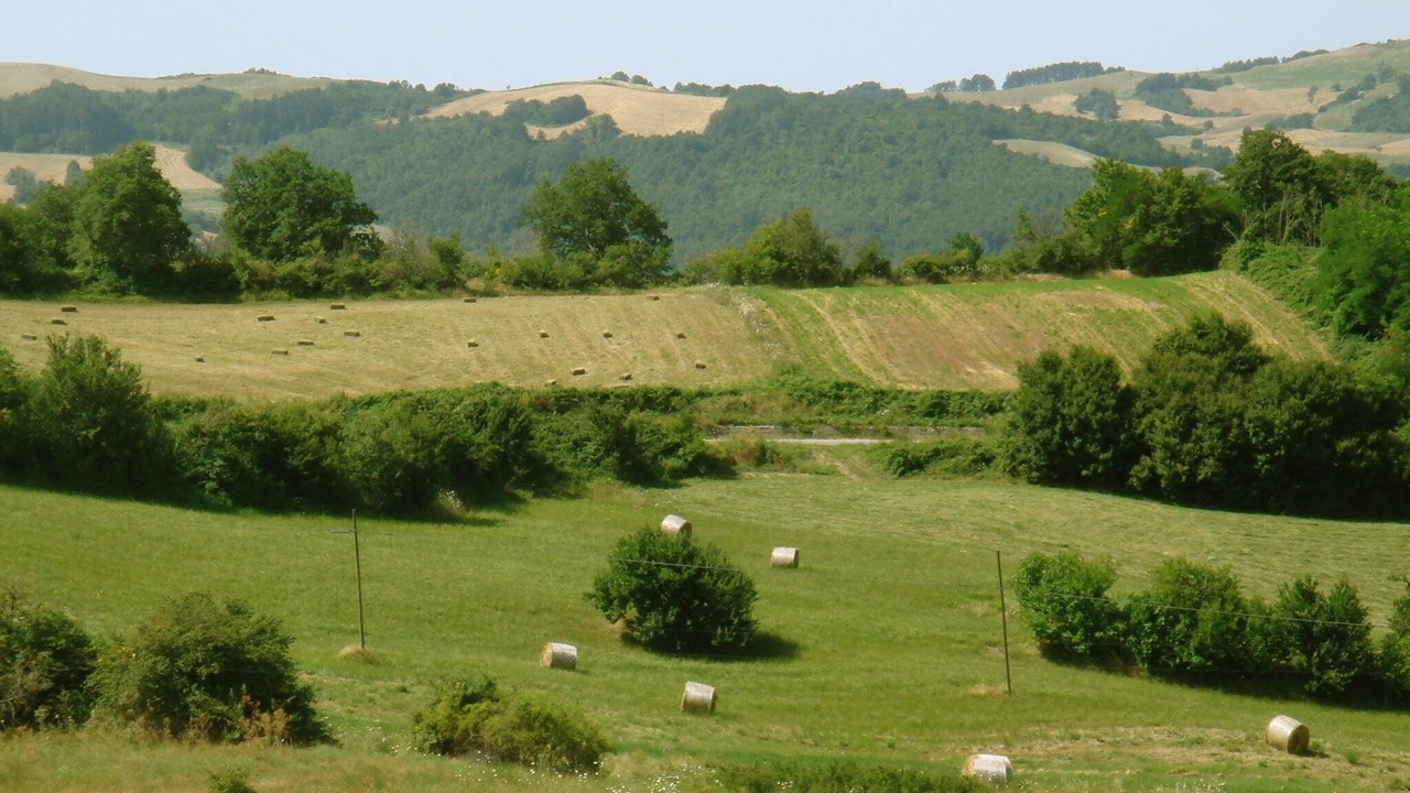 Photo of Others in Ripabottoni