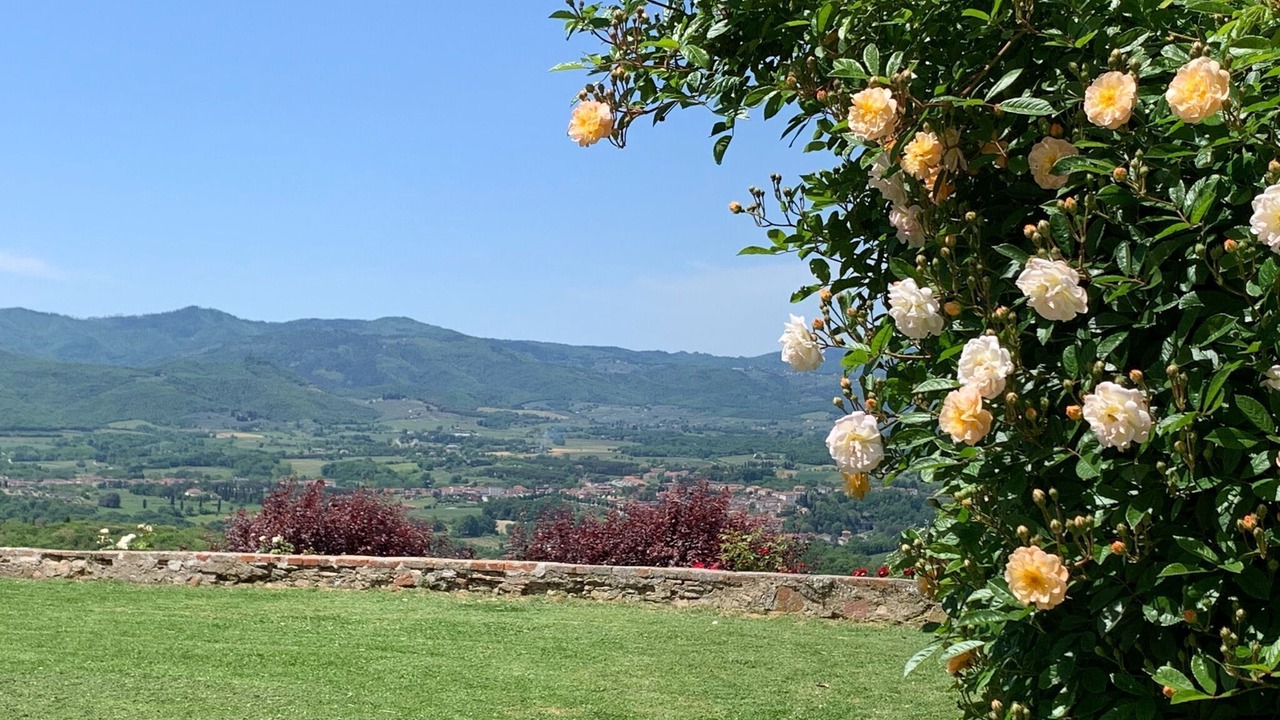 Photo of Others in Pergine Valdarno