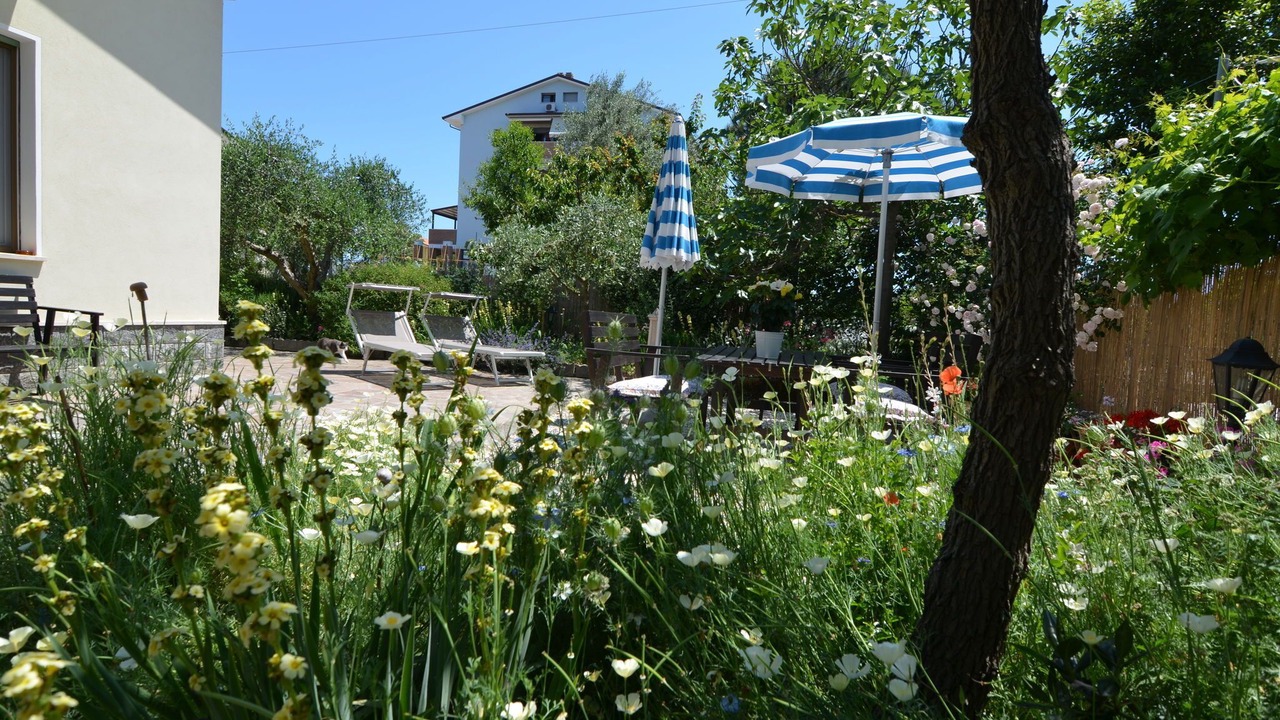 Photo of Outdoor in Gatteo a Mare