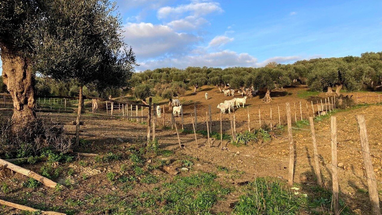 Photo of Outdoor in Campagnatico