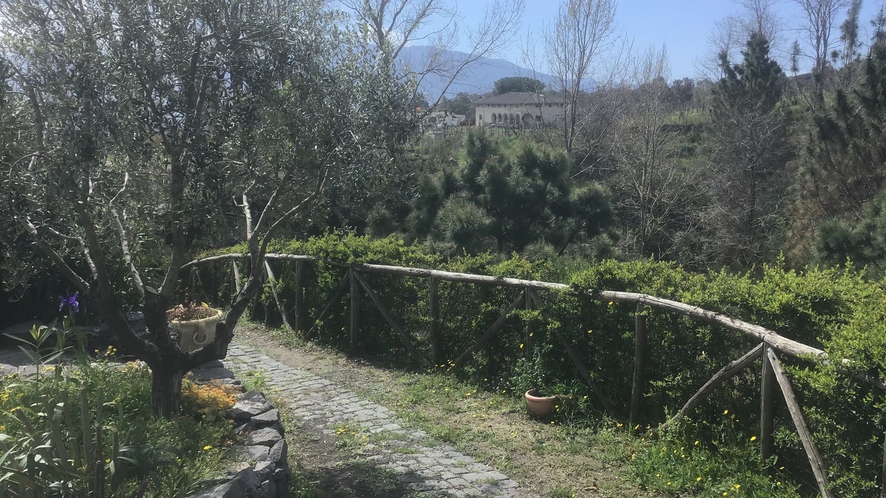 Photo of Outdoor in Terzigno