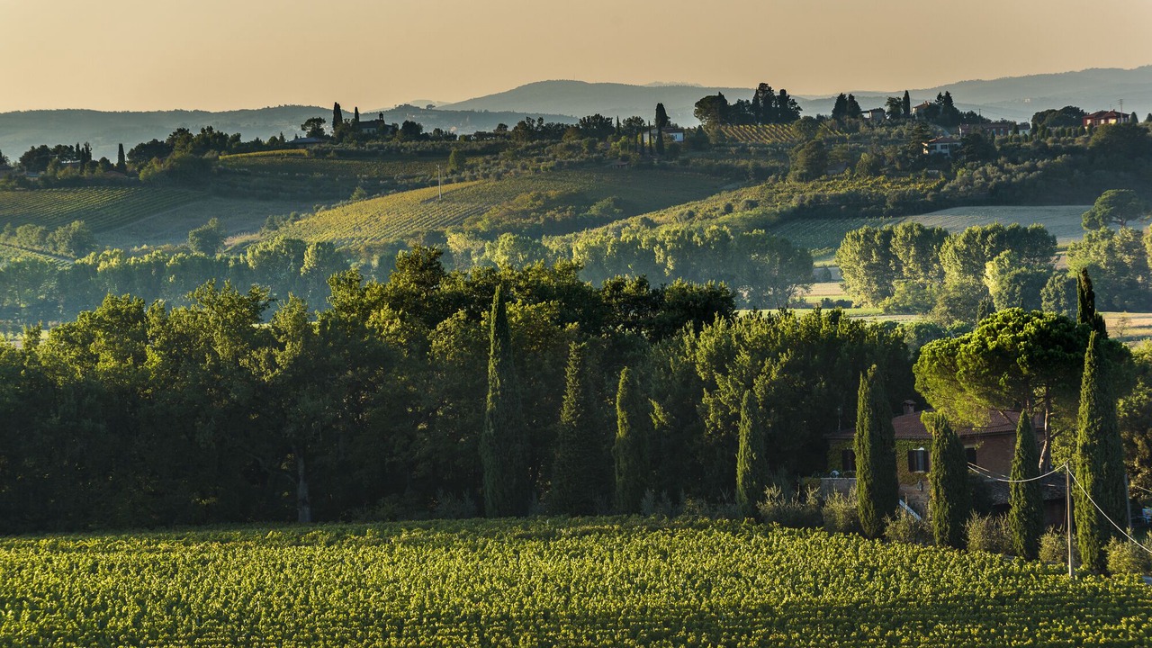 Photo of Others in Acquaviva