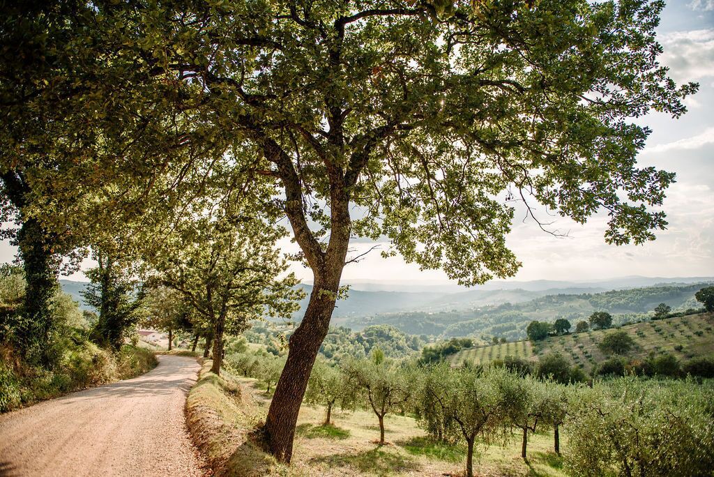 Photo of Outdoor in Gualdo Cattaneo