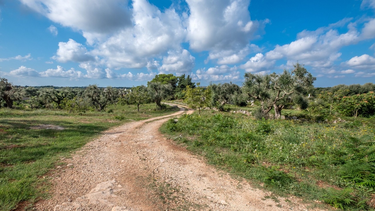 Photo of Outdoor in Cisternino
