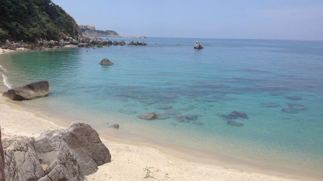 Photo of Others in Parghelia