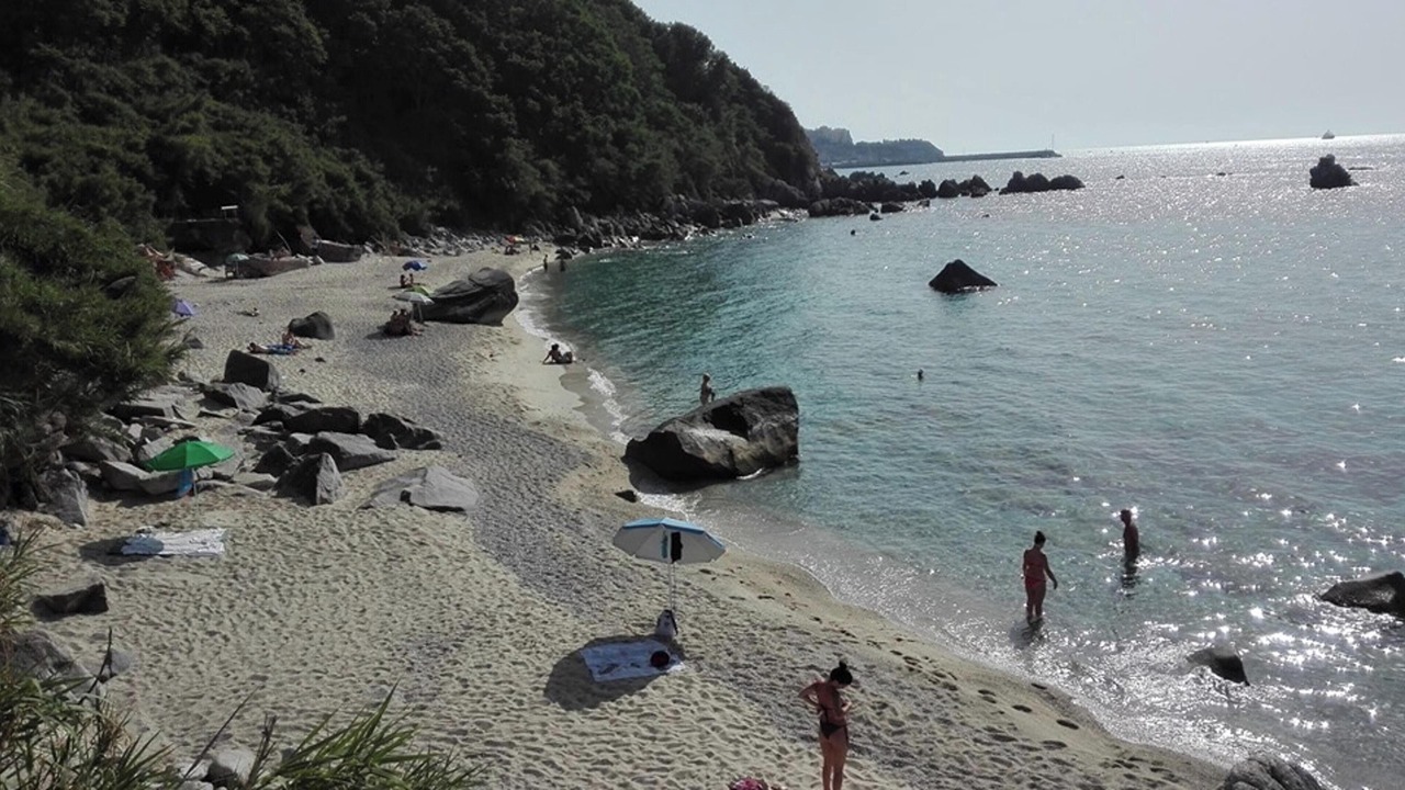 Photo of Others in Parghelia