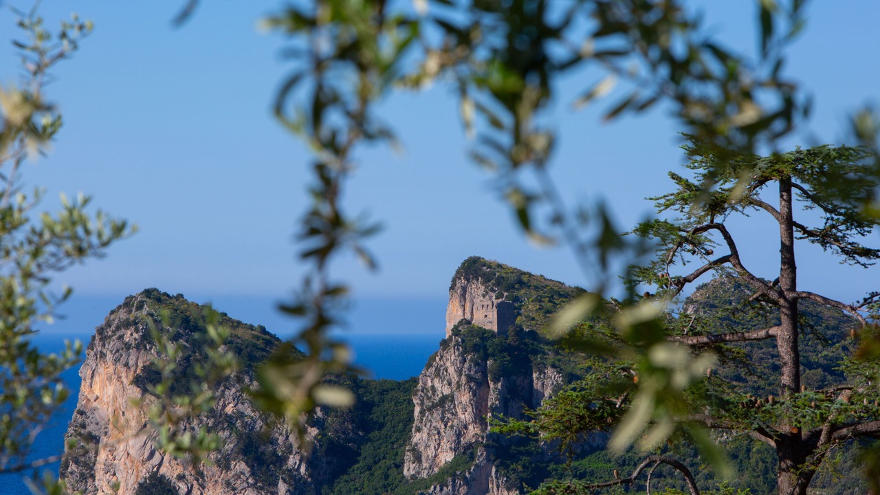 Photo of Others in Nerano
