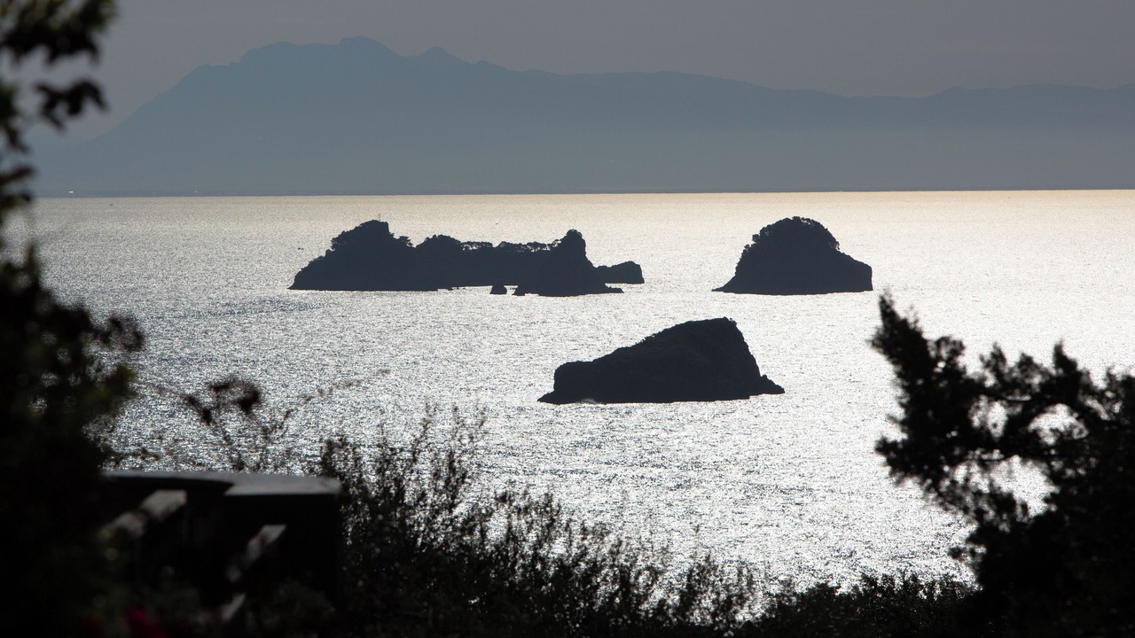 Photo of Others in Nerano