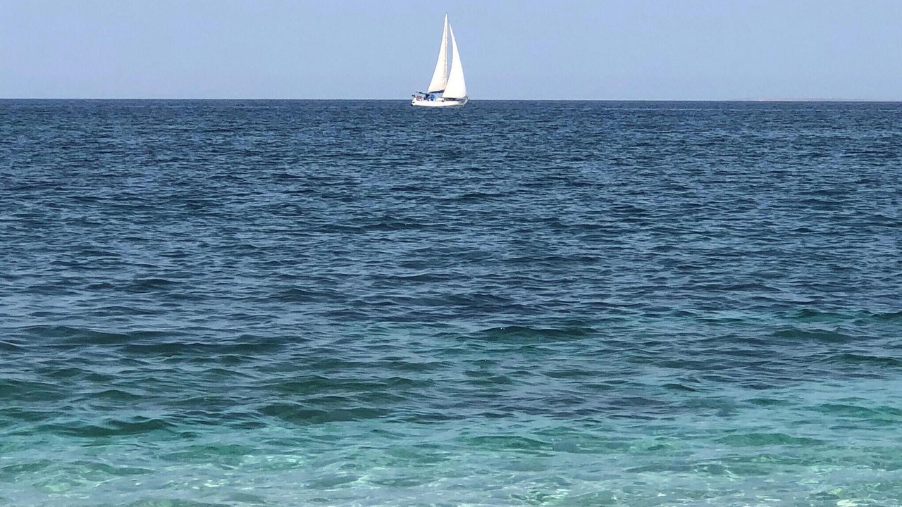 Photo of Others in Portigliola