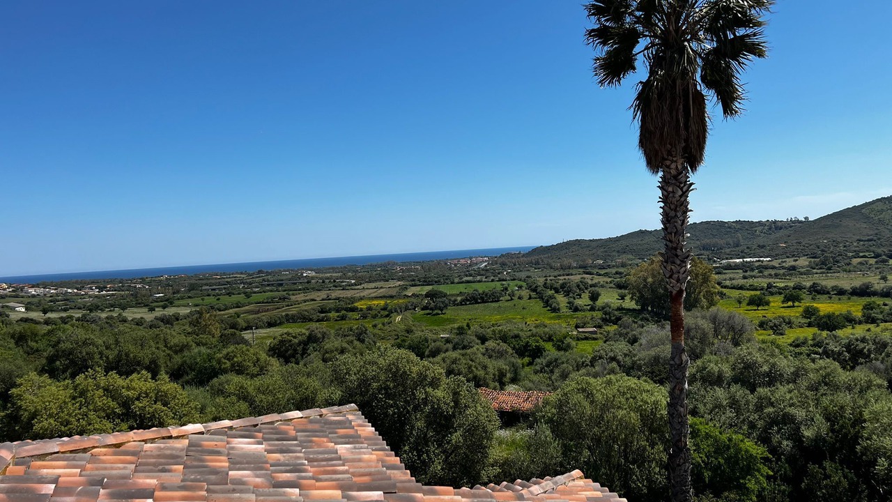 Photo of Others in Maiorca