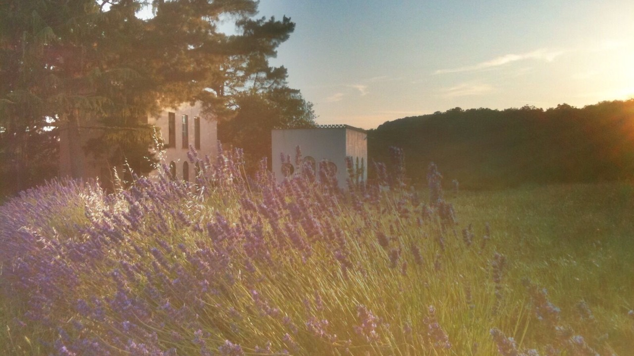 Photo of Outdoor in Ronciglione