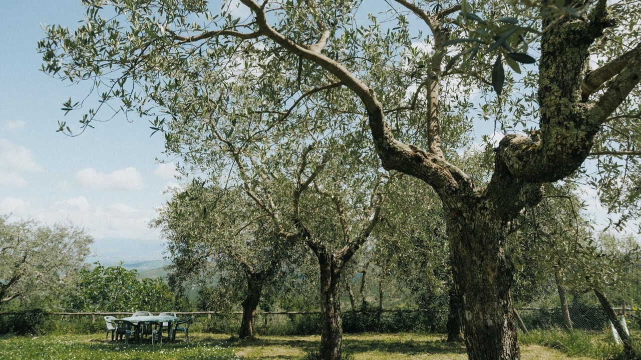 Photo of Outdoor in Rapale